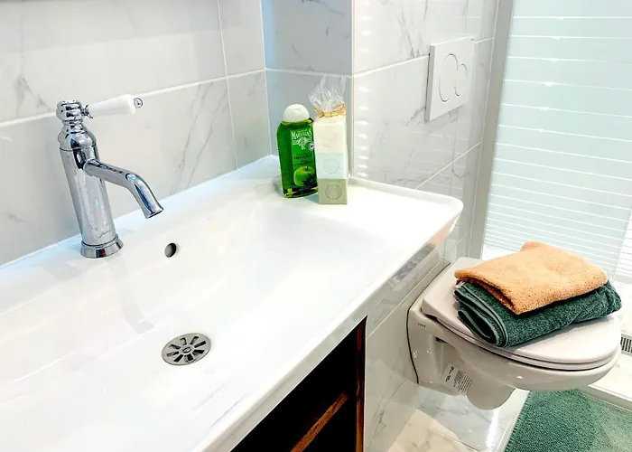 Spacious 2 Bedroom Champs Elysees And Golden Triangle *